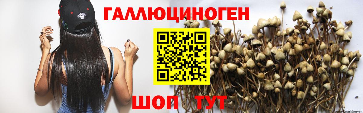 Южно-Сахалинск  Псилоцибиновые грибы мицелий  Вход с VPN  Галлюциногенные грибы GOLDEN TEACHER 
